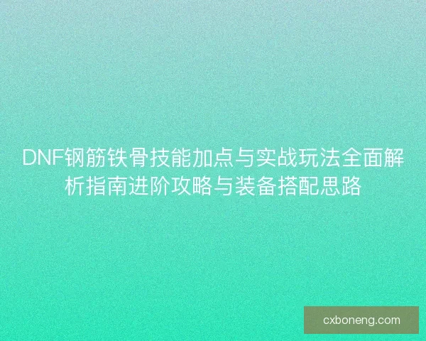 DNF钢筋铁骨技能加点与实战玩法全面解析指南进阶攻略与装备搭配思路