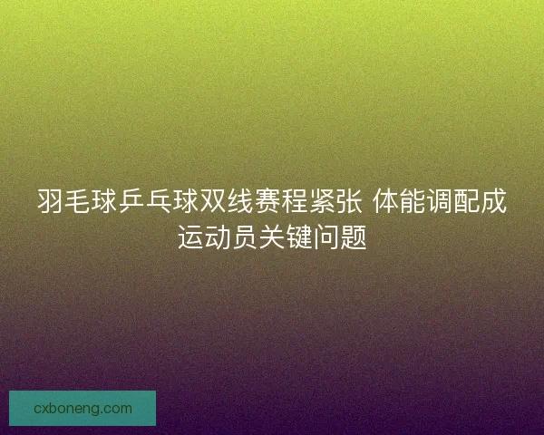羽毛球乒乓球双线赛程紧张 体能调配成运动员关键问题