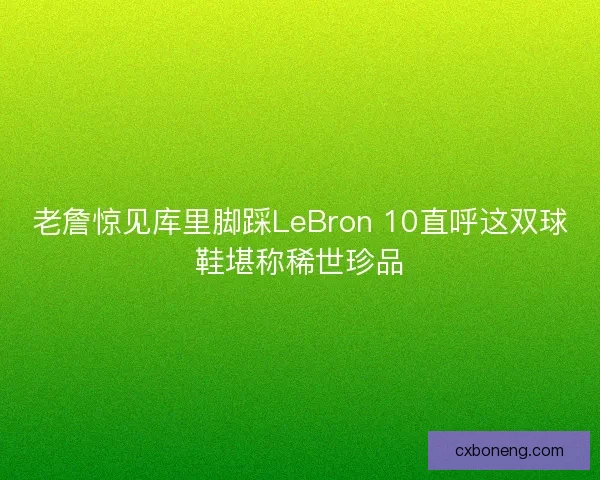 老詹惊见库里脚踩LeBron 10直呼这双球鞋堪称稀世珍品